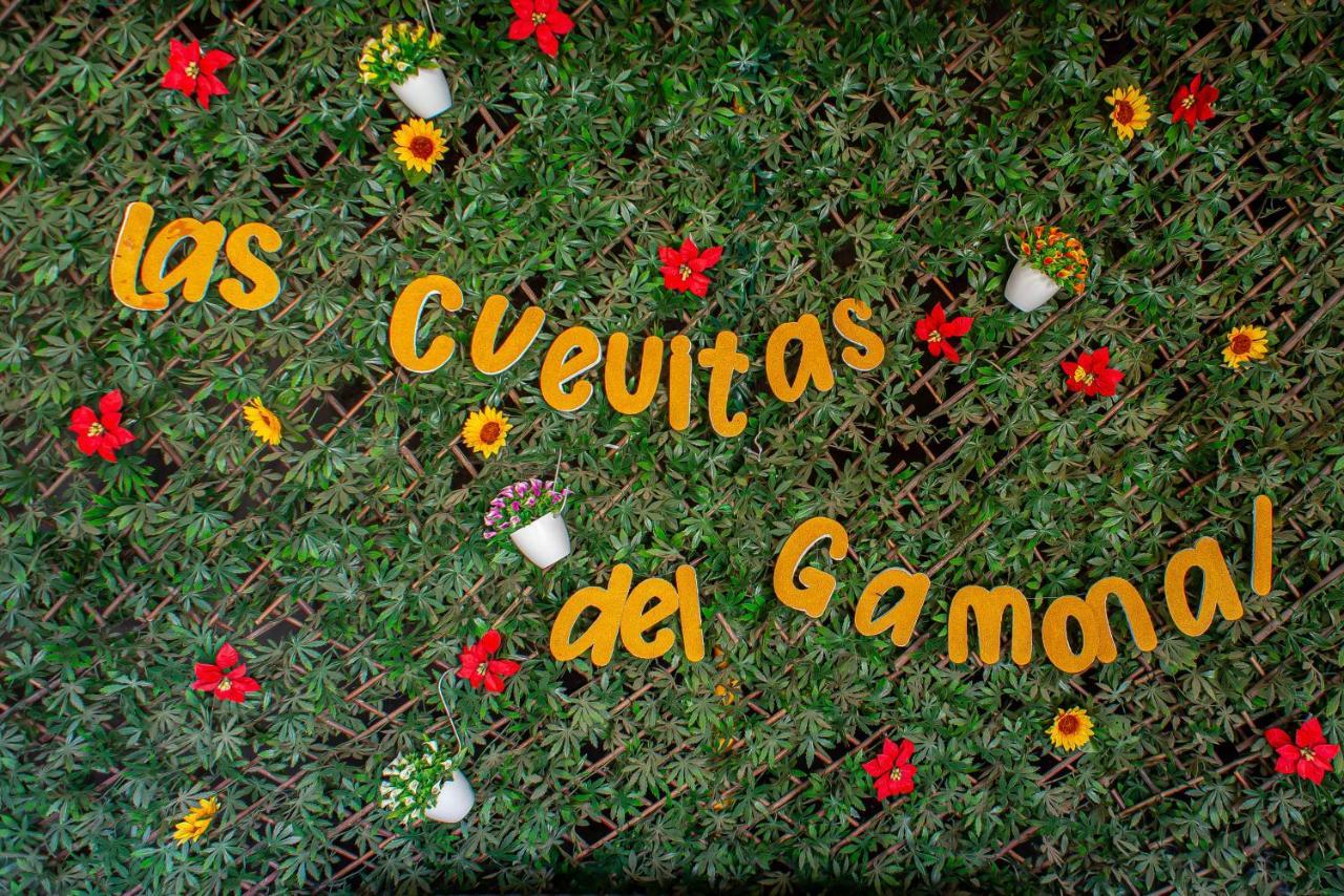 Las Cuevitas Del Gamonal Santa Brigida  Bagian luar foto